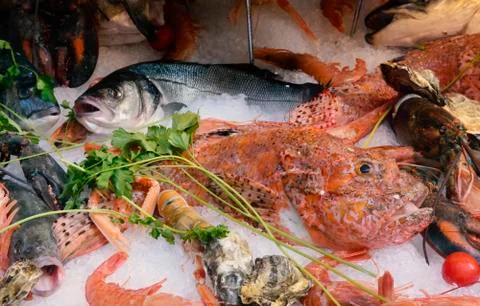 Fresh Fish Stock Photos