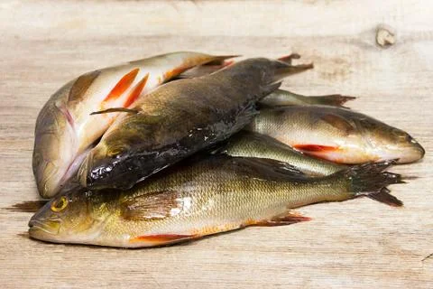 Fresh fish Stock Photos