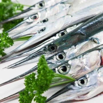 Fresh fish Stock Photos