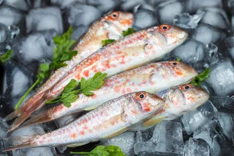 Fresh fish Foto stock