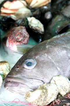 Fresh fish Stock Photos