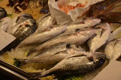 Fresh fish Stock Photos