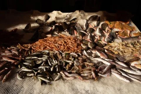 Fresh Fish Foto stock