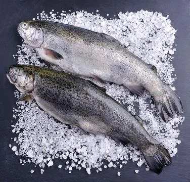 Fresh fish Stock Photos