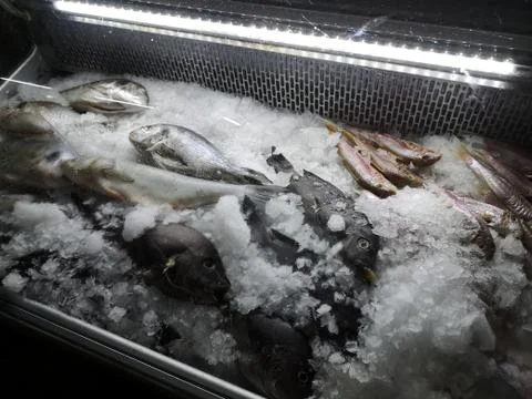 Fresh fish Stock-Fotos