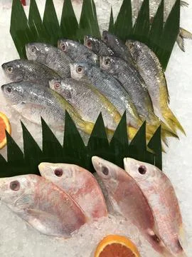 Fresh Fish Foto stock