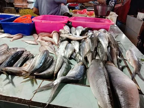 Fresh fish Stock Photos