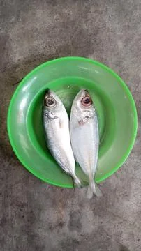 Fresh fish 스톡 사진