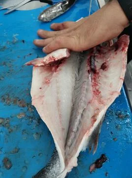 The fresh fish is professionally cleaned under running water by a fishmonger Stock Photos