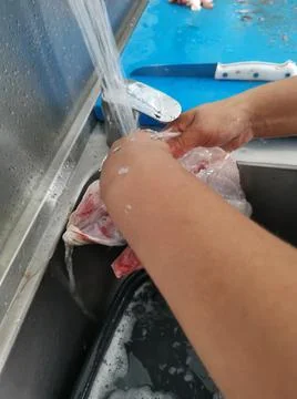 The fresh fish is professionally cleaned under running water by a fishmonger Stock Photos