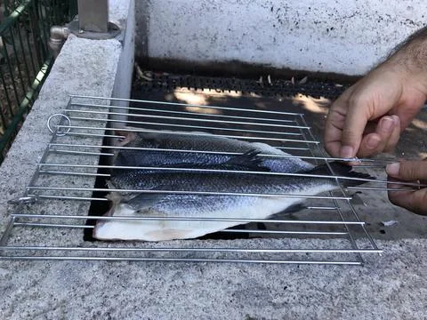 The fresh fish is professionally cleaned under running water by a fishmonger Stock Photos