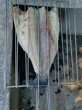 The fresh fish is professionally cleaned under running water by a fishmonger Stock Photos