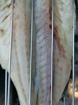 The fresh fish is professionally cleaned under running water by a fishmonger Stock Photos