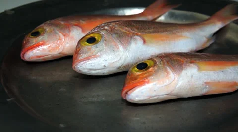 Fresh fish, red snapper Stock Footage 34179831
