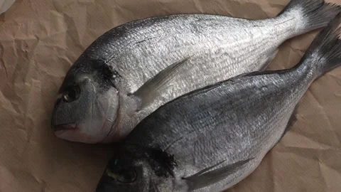 Fresh Fish Rotating on a paper-covered surface. Stock Footage 259178359