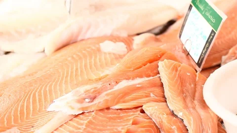 Fresh fish, salmon on ice Stock Footage 102663012