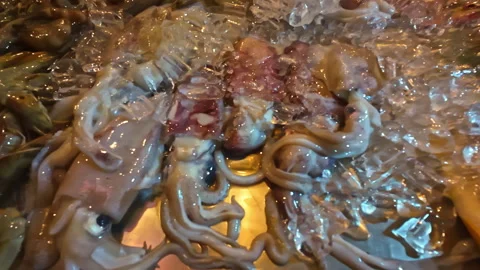 Fresh fish seafood squid carp prawns ocean restaurant over ice Indonesia Bali Stock Footage 310550233