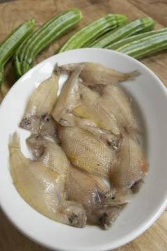 Fresh Fish Selection on Ice  High-Quality Seafood Stock Photos