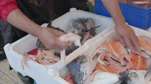 Fresh fish selection at local market in the morning Stock Footage 332885749
