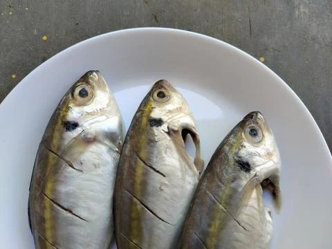 Fresh fish served on a plain white plate, highlighting a clean food ingredient  Stock Photos