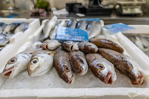 Fresh fish sold on traditional market in Zambujeira do Mar, Portugal Stock Photos