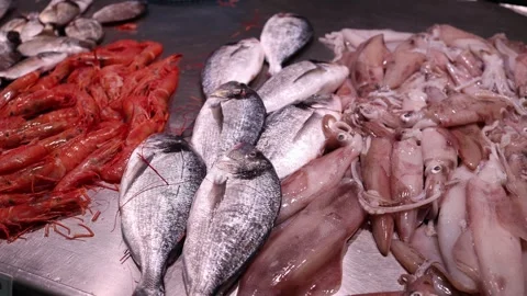 Fresh fish squid and red prawns displayed on a chilled seafood counter Stock Footage 328286402