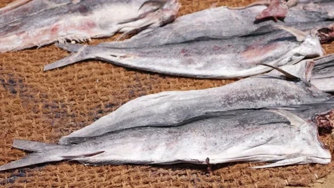Fresh fish in Sri Lanka Stock Footage 175871120