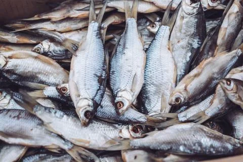 Fresh fish in the store on the background. Stock Photos
