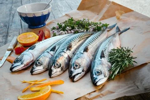 Fresh fish on table Stock Photos