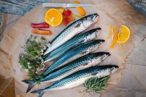 Fresh fish on table Stock Photos