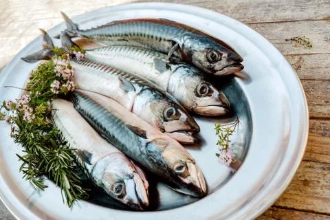 Fresh fish on table Stock Photos