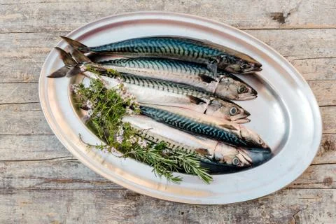 Fresh fish on table Stock Photos
