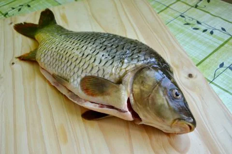 Fresh fish on the table Stock Photos