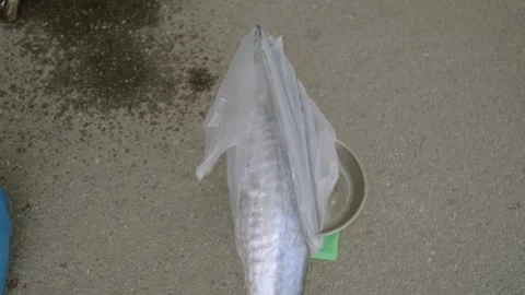 Fresh fish transported on motorcycle in local street market Stock Footage 341104137