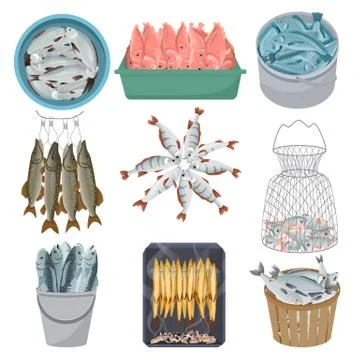 Fresh fish vector raw sea salmon trout pike in net seafood illustration fishing イラスト素材