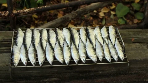 Fresh fish vendace on the grid Stock Footage 83316855