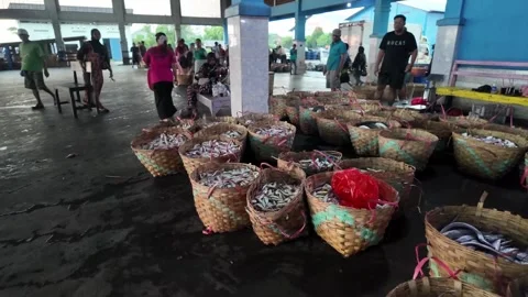 Fresh fish in woven baskets line a market stall Stock Footage 345191205