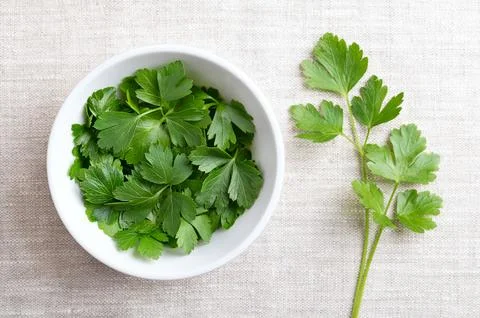 Fresh flat leaf parsley  in a white bowl on linen fabric Stock Photos