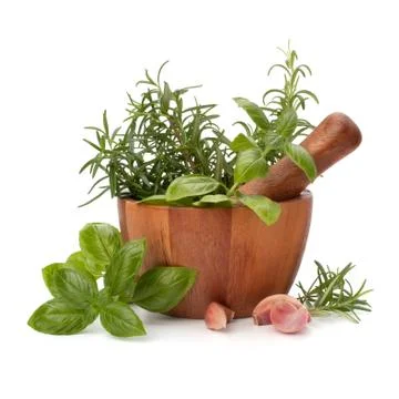 Fresh flavoring herbs and spices in wooden mortar Stock Photos