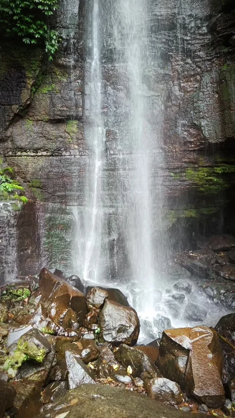 Fresh Flow of water from a natural spring in the middle of the forest 스톡 동영상 294273873