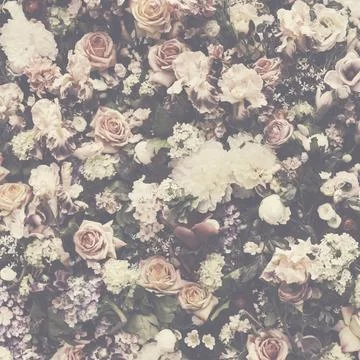 Fresh flower pattern background Stock-Fotos