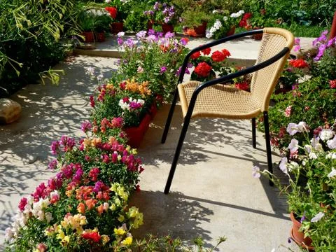 Fresh flower Stock Photos