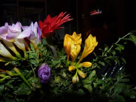 Fresh flower Foto stock