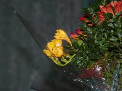 Fresh flower Stock Photos