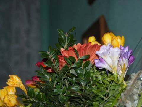Fresh flower Stock Photos