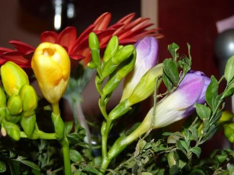 Fresh flower  Foto stock
