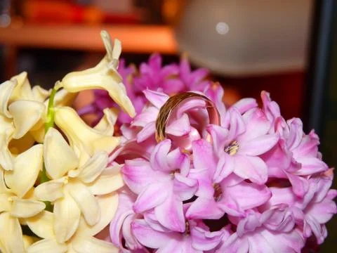 Fresh flower  Foto stock