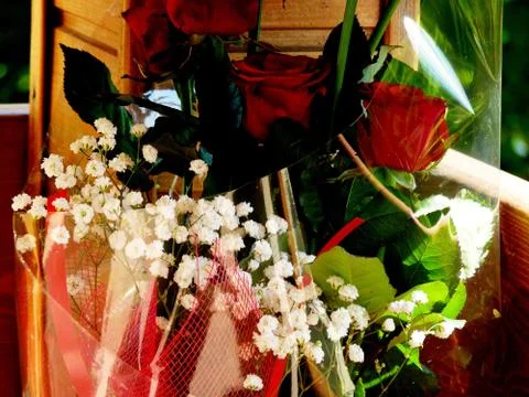 Fresh flowers Stock Photos