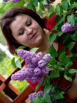 Fresh flowers Stock Photos