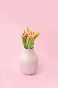 Fresh flowers Stock Photos